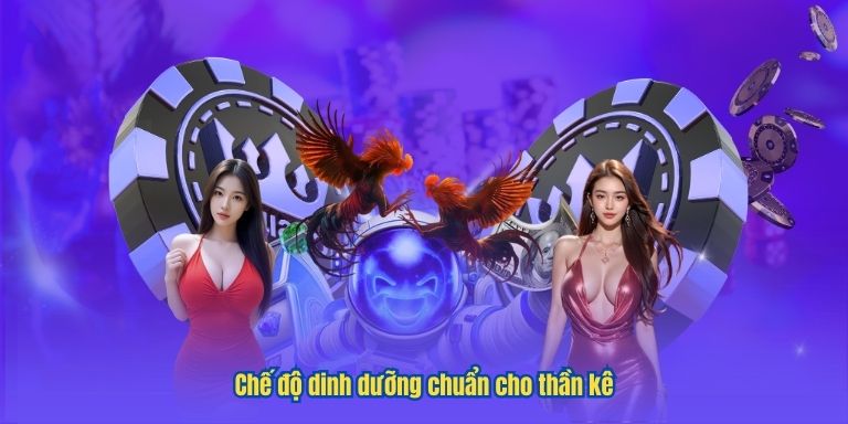 Top 5 Tướng Gà Chọi Thần Kê Được Bet Thủ Săn Lùng 4 Chế độ dinh dưỡng chuẩn cho thần kê