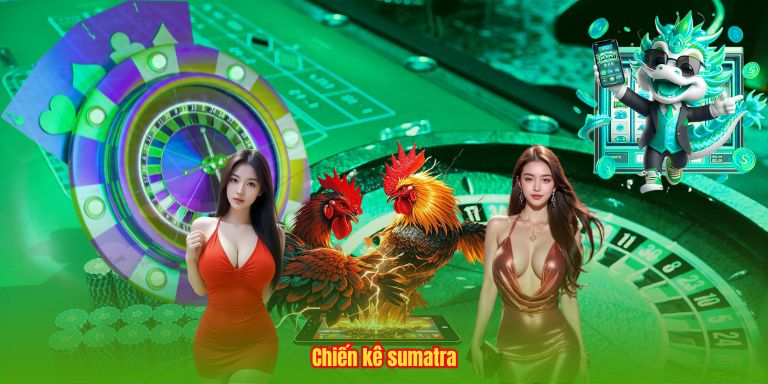 Top Gà Chọi Đẹp Nhất – Khám Phá Những Chiến Kê Đẳng Cấp Thế Giới 4 Chiến kê sumatra