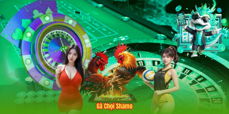 Top Gà Chọi Đẹp Nhất – Khám Phá Những Chiến Kê Đẳng Cấp Thế Giới 2 Gà Chọi Shamo