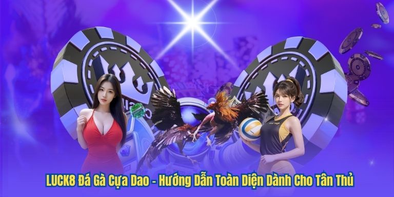 LUCK8 Đá Gà Cựa Dao – Hướng Dẫn Toàn Diện Dành Cho Tân Thủ 2 LUCK8 Đá Gà Cựa Dao – Hướng Dẫn Toàn Diện Dành Cho Tân Thủ