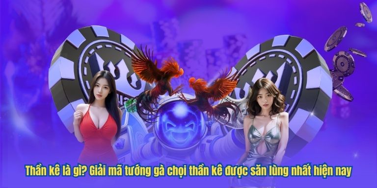 Top 5 Tướng Gà Chọi Thần Kê Được Bet Thủ Săn Lùng 2 Thần kê là gì? Giải mã tướng gà chọi thần kê được săn lùng nhất hiện nay