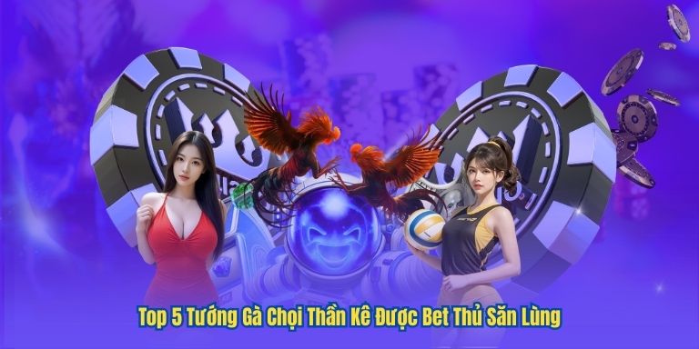 Top 5 Tướng Gà Chọi Thần Kê Được Bet Thủ Săn Lùng 1 Top 5 Tướng Gà Chọi Thần Kê Được Bet Thủ Săn Lùng